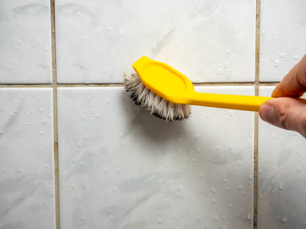 Best Office Mold Removal Services  in Falcon Heights, MN