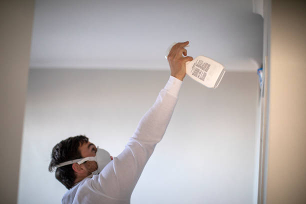 Best Mold Cleaning Services  in Falcon Heights, MN
