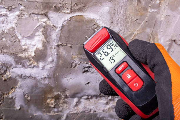 Best Residential Mold Removal  in Falcon Heights, MN