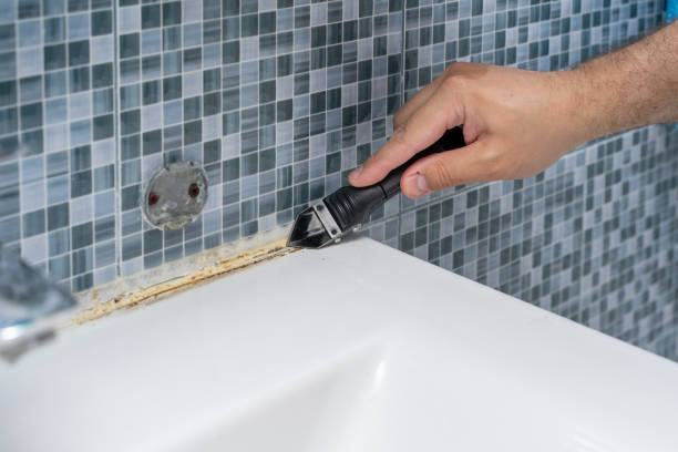 Trusted Falcon Heights, MN Mold Removal Experts